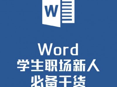 小红书花1999元买的Word高效办公：从小白到精通完整版 稀缺资源 随时下架