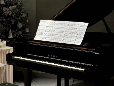 某宝花888买来的乐器教学(包括古筝，电子琴，钢琴) 别错过 随时下架！