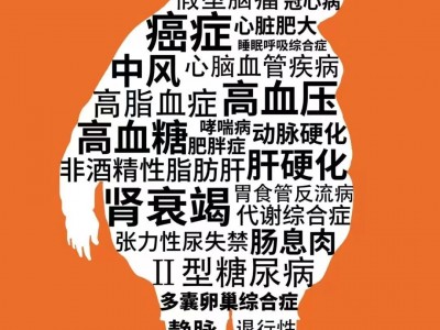 减肥饮食书籍大全，（无需节食的瘦身指南）价值299