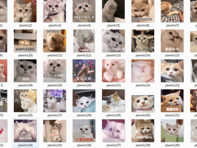 [ 付费29.9购买 ] 全套30000张高清动态表情包 [9.2GB]