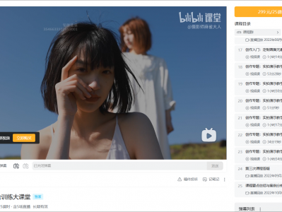 【价值299】B站精品课《摄影师麻雀大人：从零开始人像摄影教学》（59.4GB）